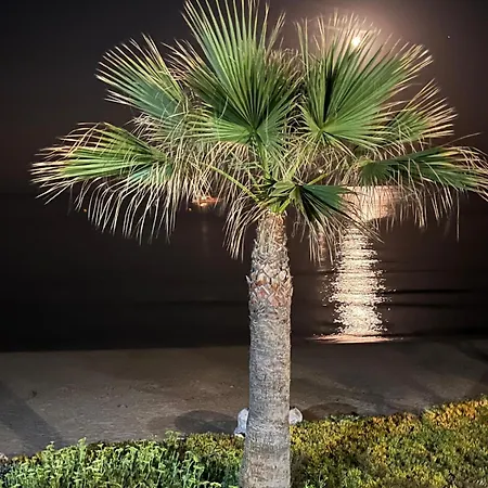 アパート Maravilloso Amanecer Cabo A Pie De Playa Y Mar En Roquetes *
